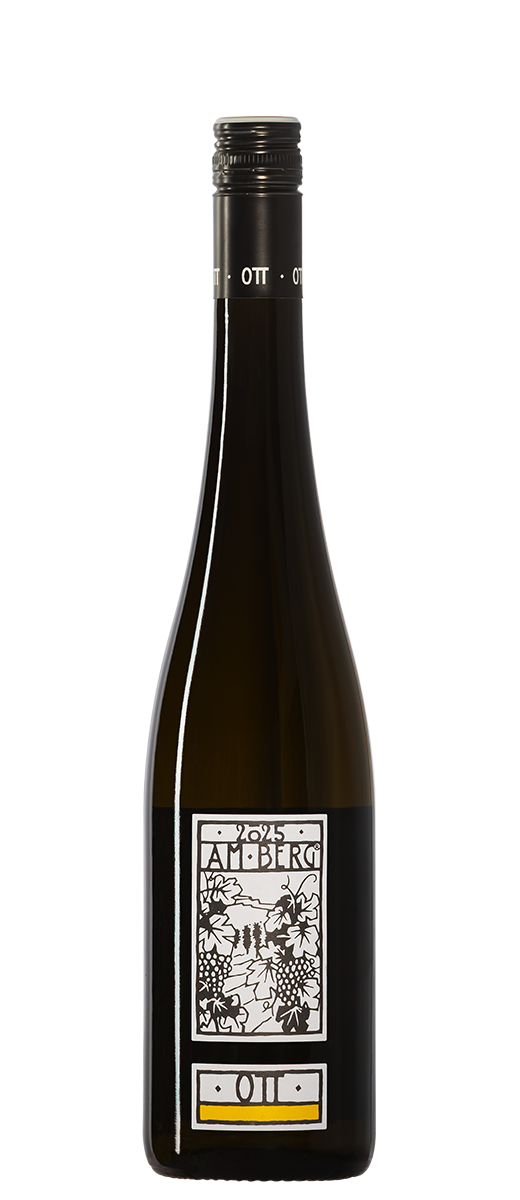 Bernhard Ott Am Berg Grüner Veltliner 2025 – Wagram